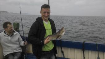 3 lb 8 oz Cod by Chris Wood