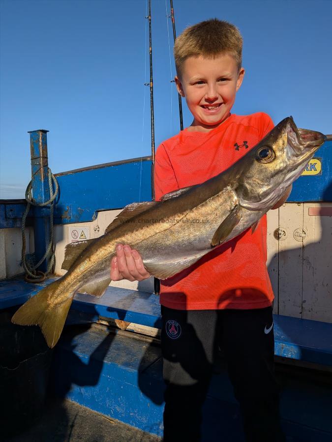 5 lb 3 oz Pollock by Unknown
