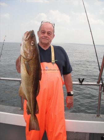 12 lb Cod by Frank Cope - Derby