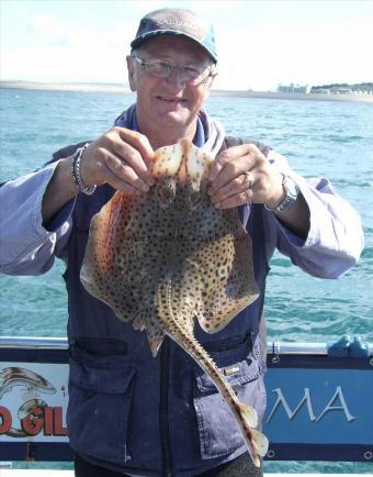 4 lb 8 oz Spotted Ray by Andy Collings
