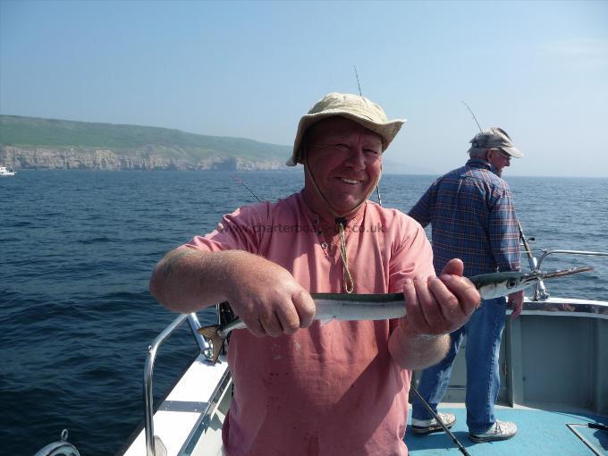 1 lb Garfish by Keith Trim