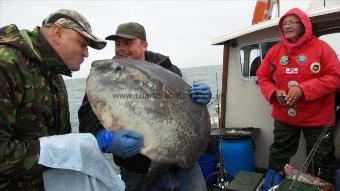 15 Kg Sunfish by Unknown