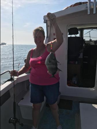 2 lb 8 oz Trigger Fish by Sarah