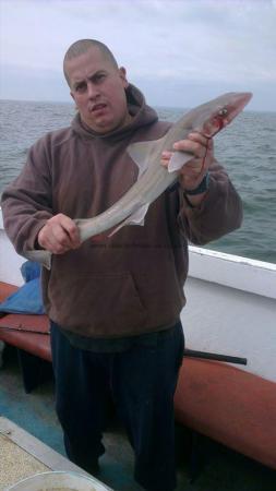 4 lb 5 oz Smooth-hound (Common) by John