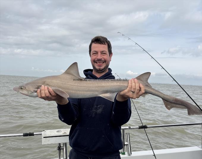12 lb Smooth-hound by Daniel