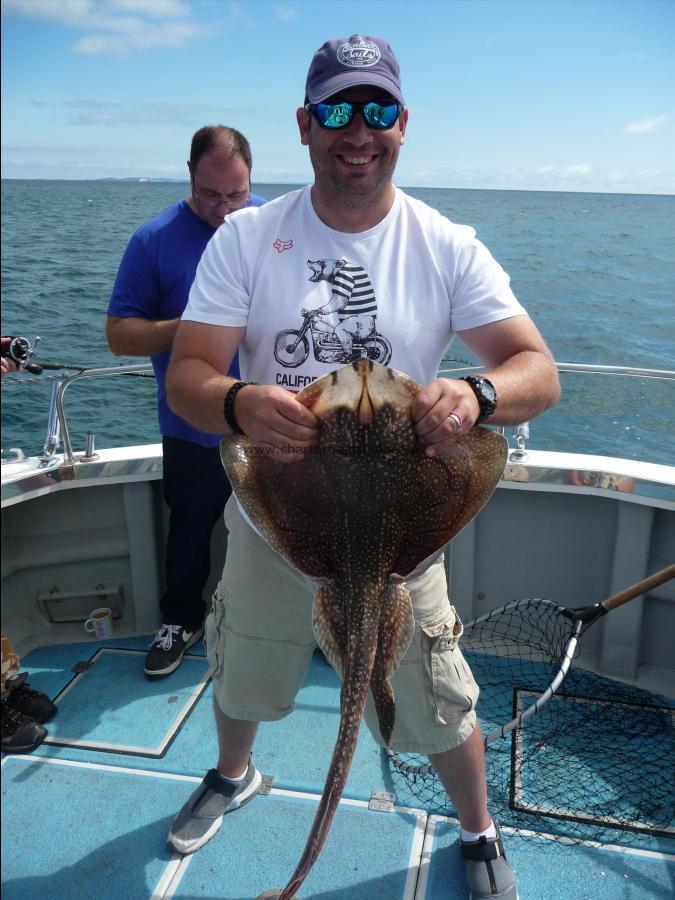 10 lb Undulate Ray by Fireman Andy