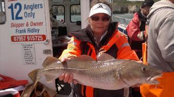 7 lb 8 oz Cod by nice cod caught by chrissy urry from hull