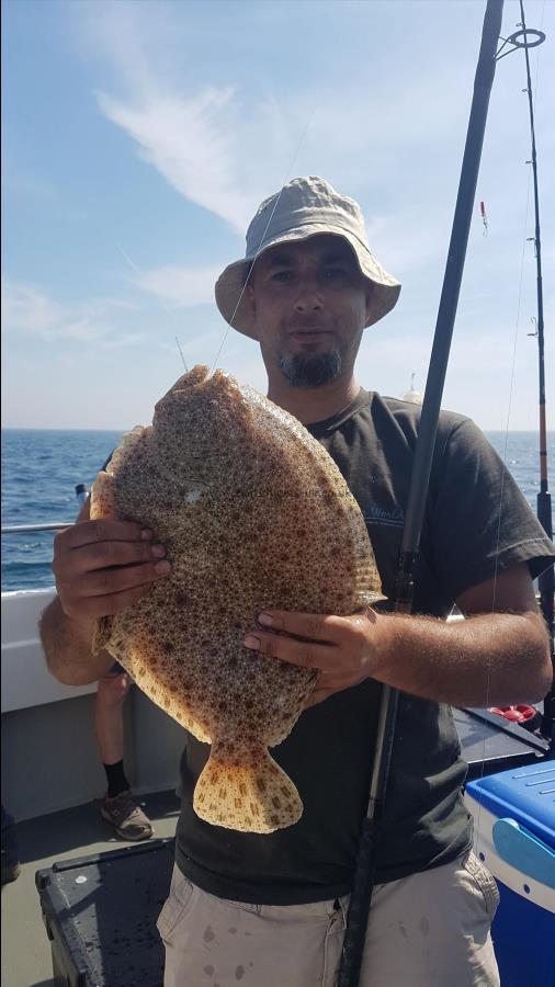 5 lb Turbot by Unknown