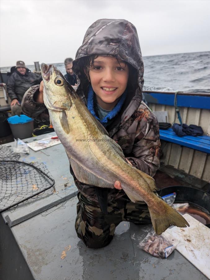 3 lb 10 oz Pollock by Unknown