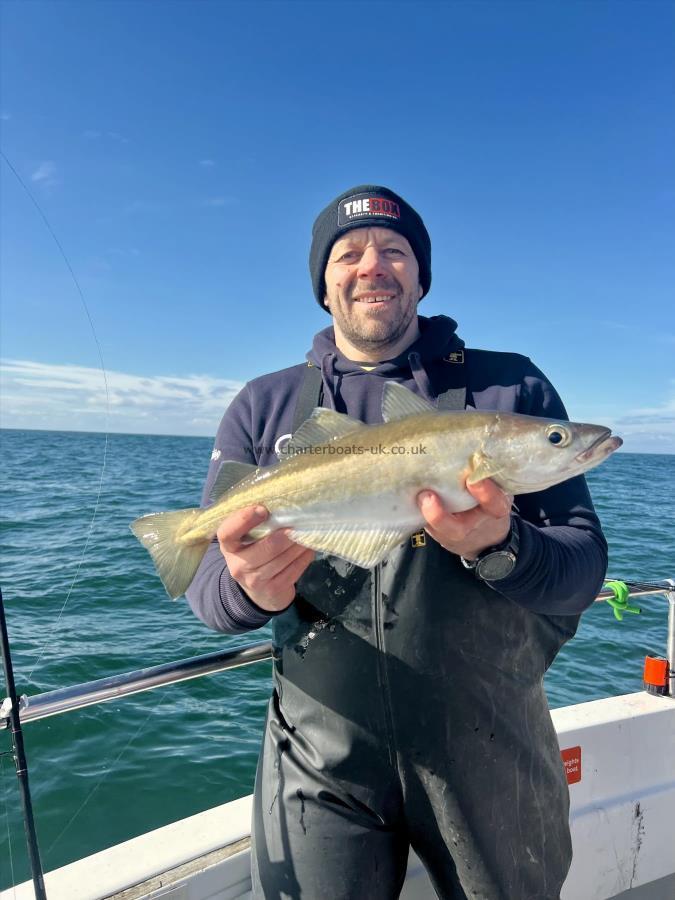 3 lb 4 oz Pollock by Tony Firman