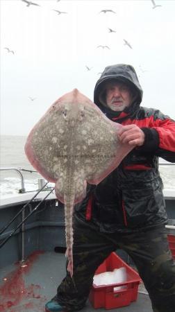 13 lb 12 oz Thornback Ray by neon ling