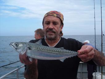 2 lb Mackerel by gary