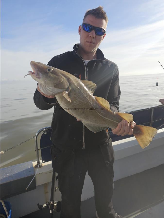 8 lb 7 oz Cod by Unknown