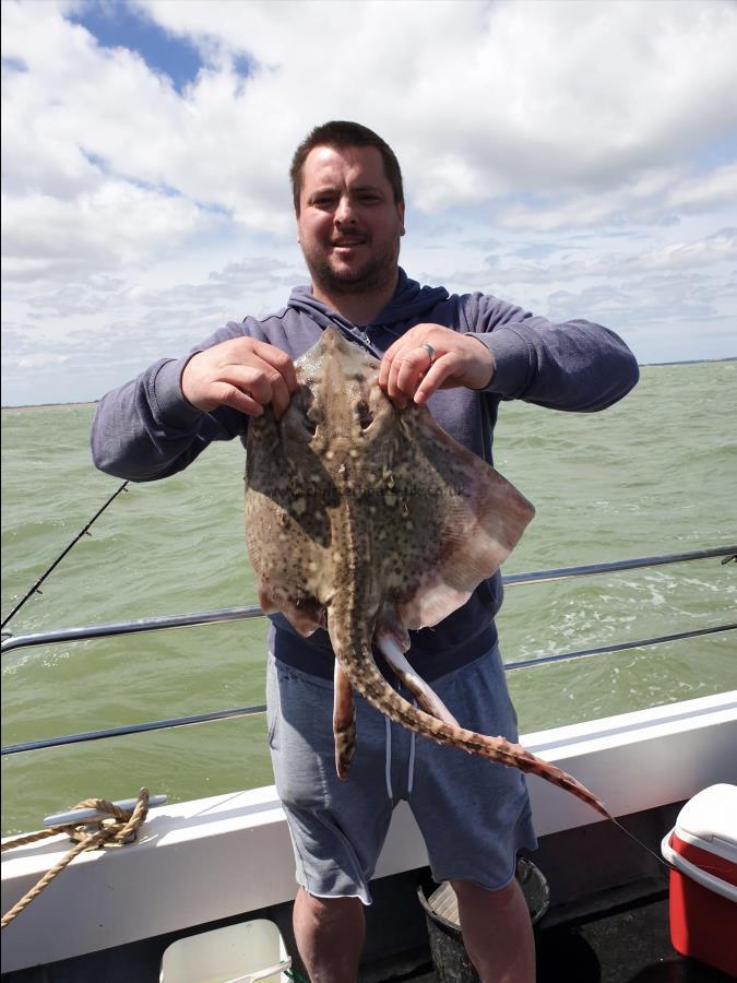 6 lb 8 oz Thornback Ray by Bob Marshall