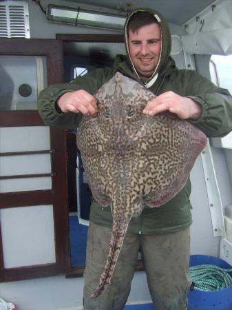 11 lb Thornback Ray by Unknown