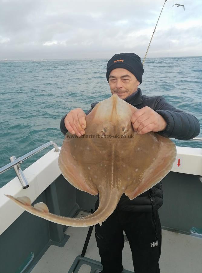 6 lb Small-Eyed Ray by Unknown