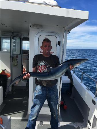 35 lb Blue Shark by Steve