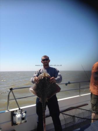 14 lb Thornback Ray by Unknown