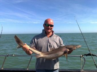 16 lb 8 oz Spurdog by Alex Wilson