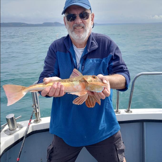 1 lb 12 oz Tub Gurnard by Stu