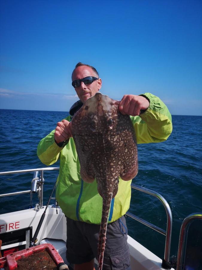 7 lb Thornback Ray by Unknown