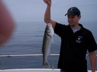 4 lb Bass by Unknown