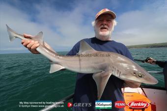 14 lb Starry Smooth-hound by David