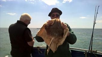 4 lb Small-Eyed Ray by Stephen Wake