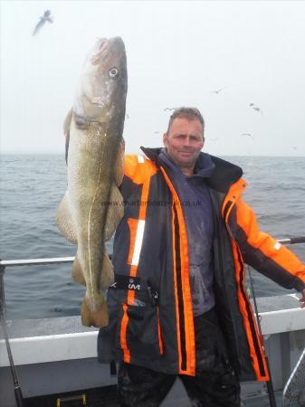 13 lb Cod by Lee from Barnsley