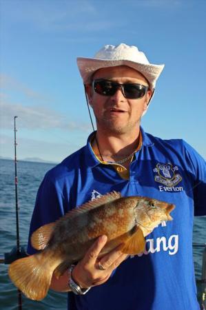 2 lb Ballan Wrasse by Ari