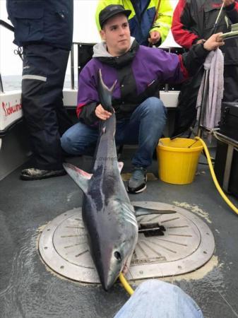 70 lb Porbeagle by GEORGE