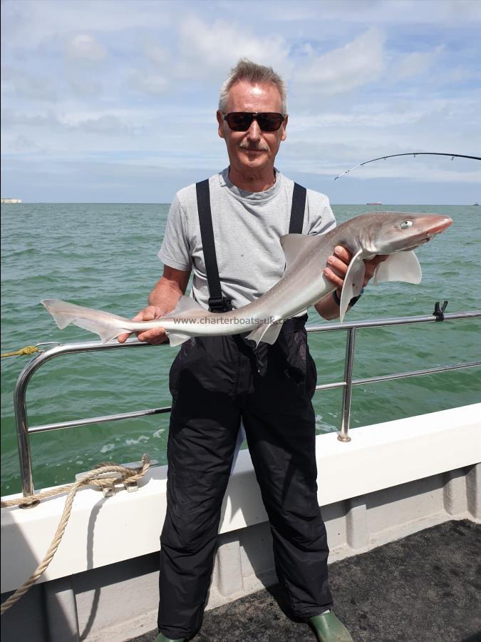 7 lb Starry Smooth-hound by Bob Marshall