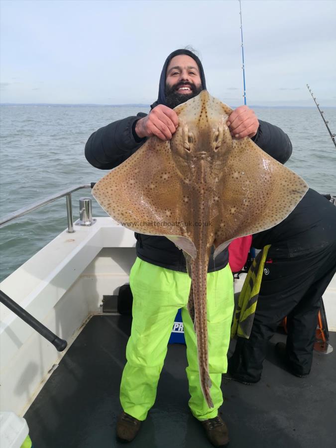 12 lb Blonde Ray by Unknown