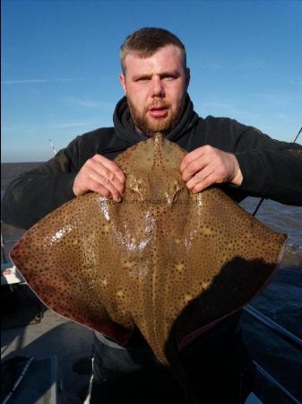 17 lb Blonde Ray by Craig