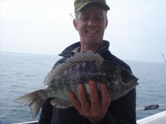 2 lb 4 oz Black Sea Bream by Dave