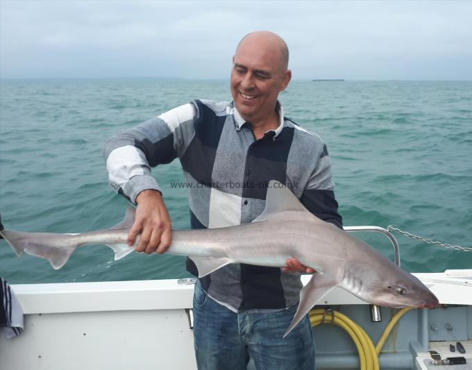 15 lb Smooth-hound (Common) by Unknown