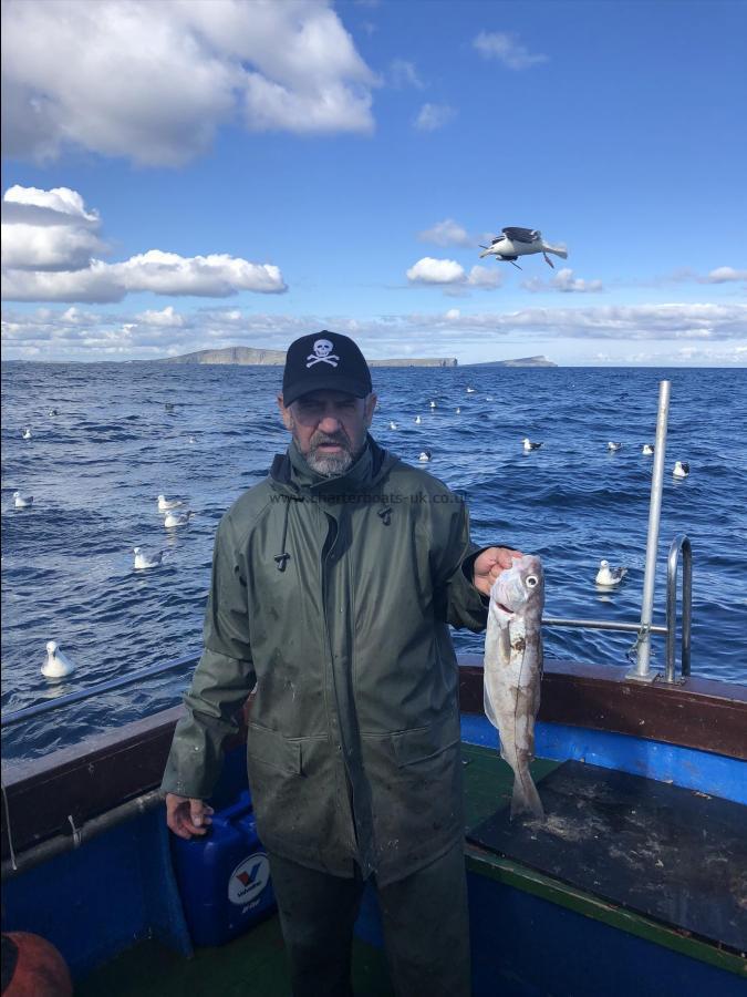 6 lb Haddock by Unknown