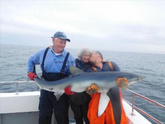 100 lb Blue Shark by stuart cross