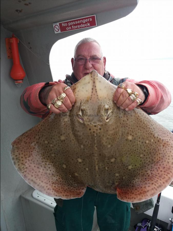 16 lb 8 oz Blonde Ray by Ash McIntyre