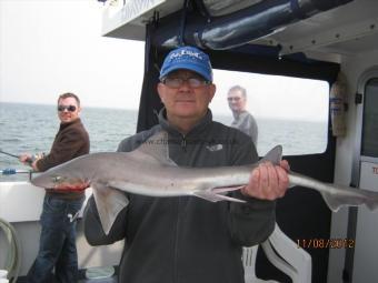 7 lb Smooth-hound by Unknown