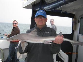 7 lb Smooth-hound (Common) by Unknown