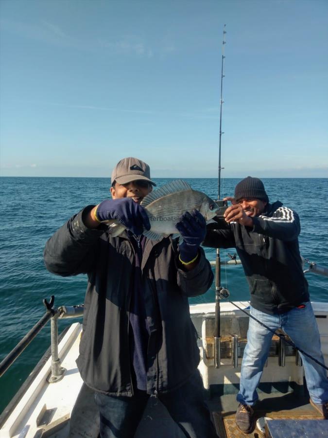 2 lb Black Sea Bream by Unknown