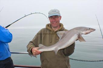 12 lb 8 oz Starry Smooth-hound by Trevor