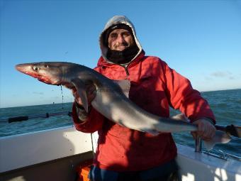 14 lb Spurdog by Dave Griffin