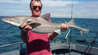 17 lb 1 oz Smooth-hound (Common) by Paul