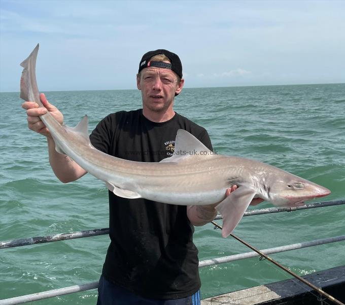 10 lb Smooth-hound (Common) by Unknown