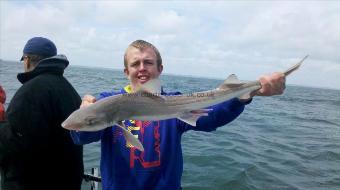 9 lb 6 oz Smooth-hound by dan lepetit