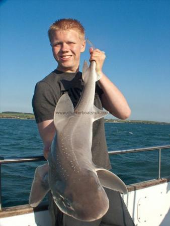 11 lb Starry Smooth-hound by Harry Owen