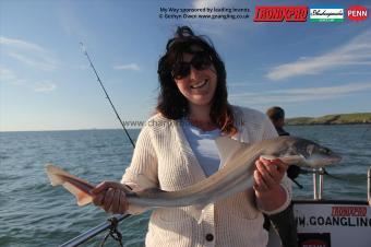 5 lb Starry Smooth-hound by Lou