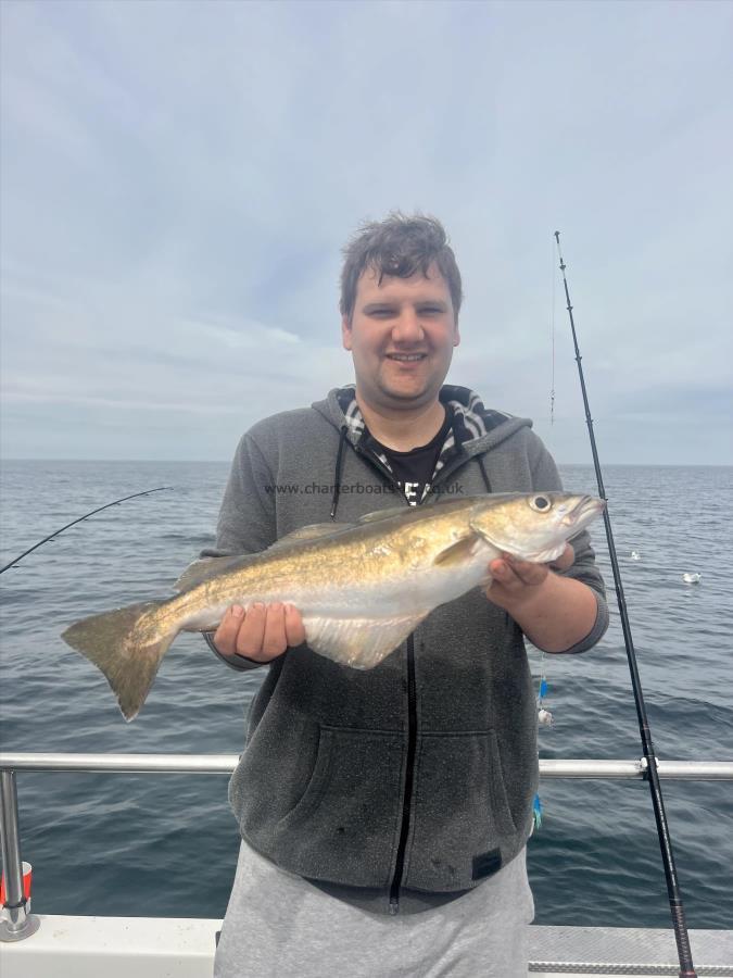 3 lb 4 oz Pollock by William Ferrie